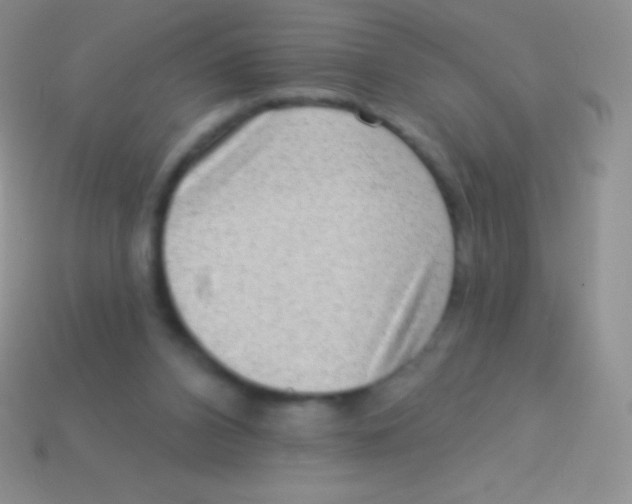 X0000113630112200910162024