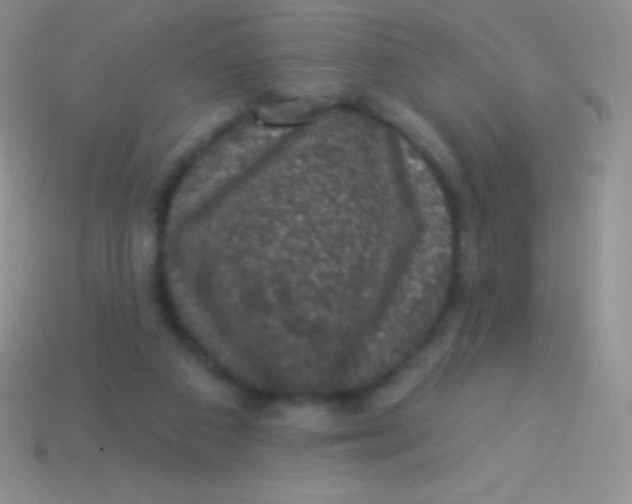 X0000113630113200910162024