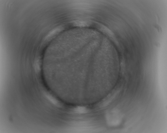 X0000113630114200910162024