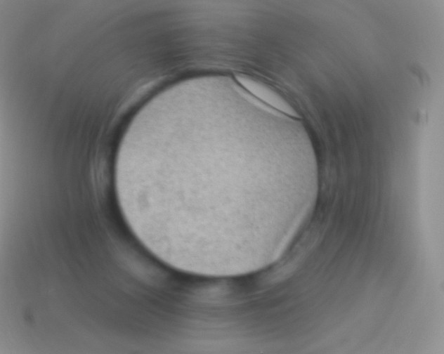 X0000113630116200910162024