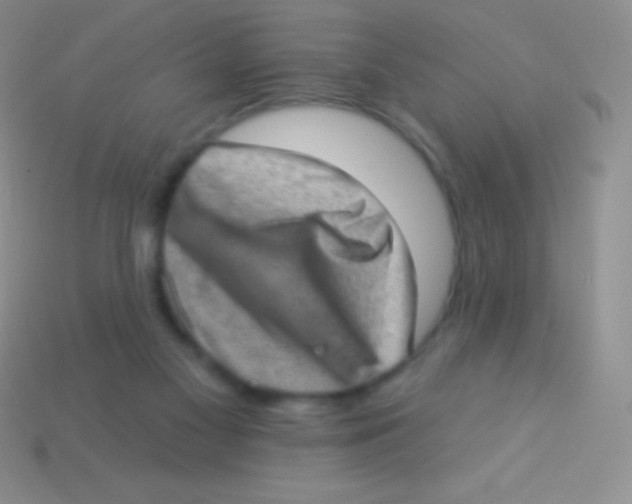 X0000113630117200910162024