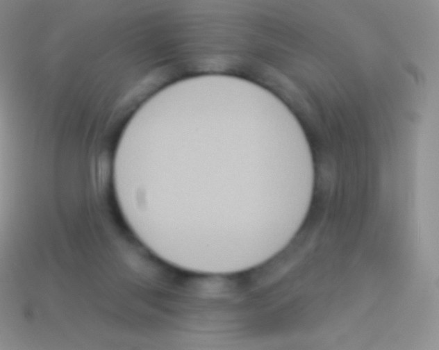 X0000113630118200910162024