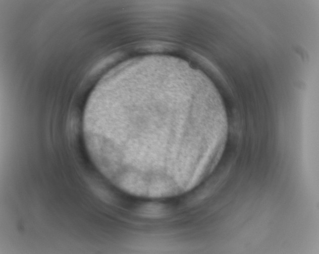 X0000113630119200910162024