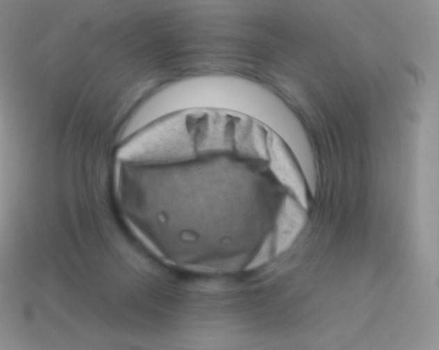 X0000113630120200910162024