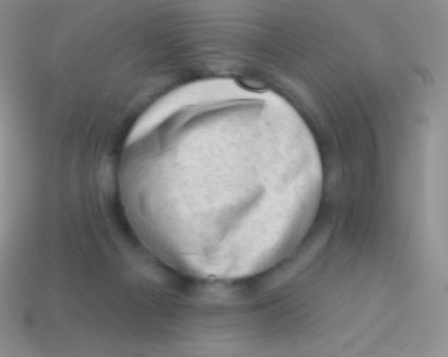 X0000113630121200910162024