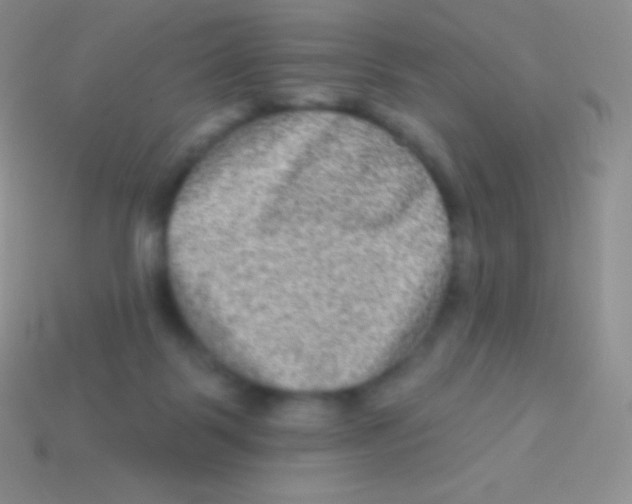 X0000113630123200910162024