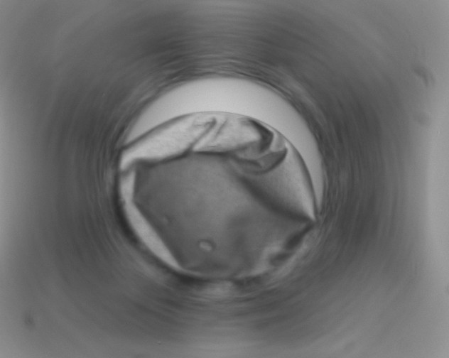 X0000113630124200910162024