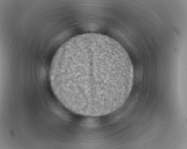 X0000113630126200910162024