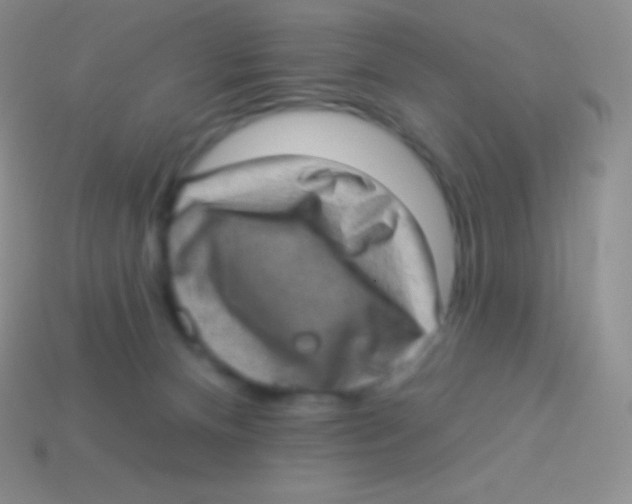 X0000113630128200910162024