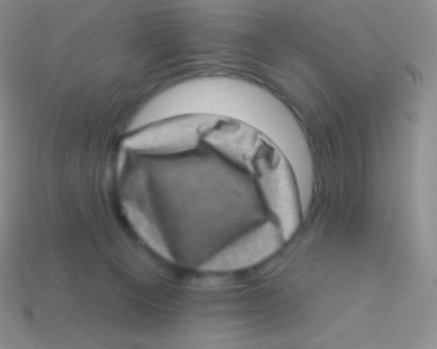 X0000113630129200910162024