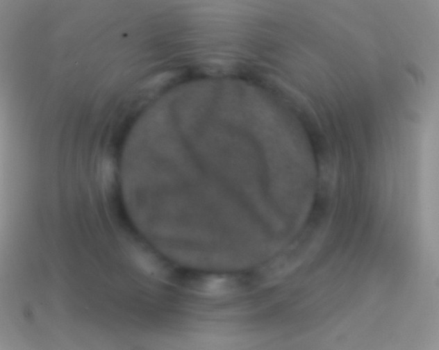 X0000113630130200910162024