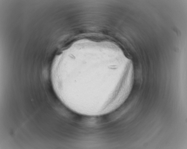 X0000113630131200910162024