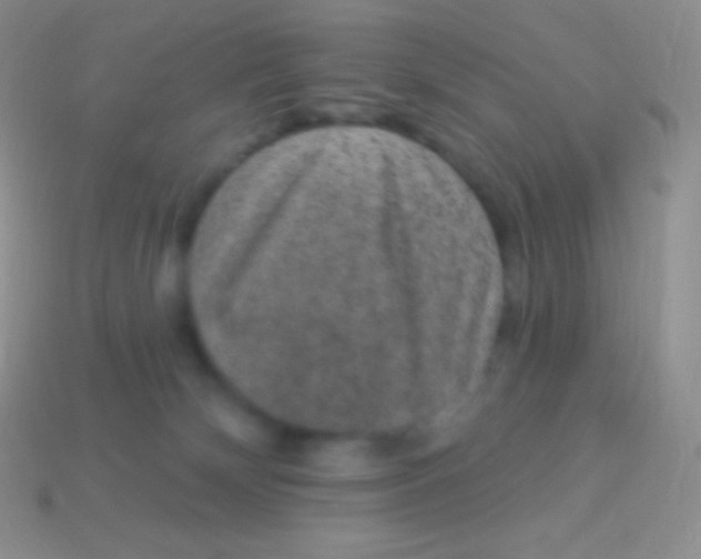 X0000113630132200910162024