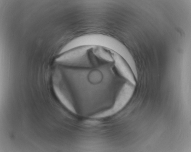 X0000113630133200910162024