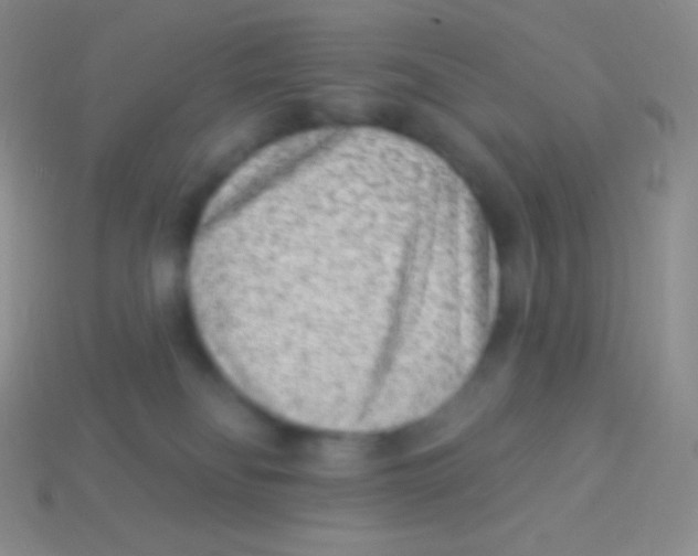 X0000113630134200910162024