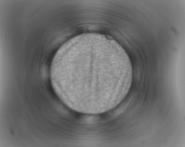 X0000113630135200910162024