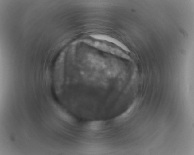 X0000113630136200910162024