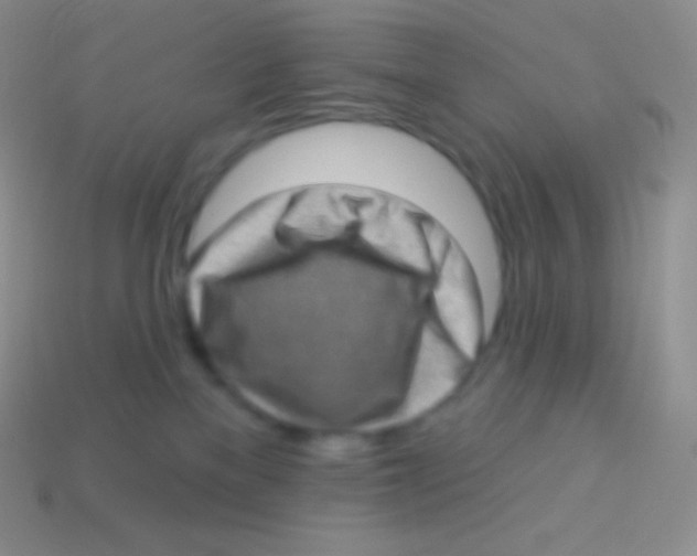 X0000113630137200910162024