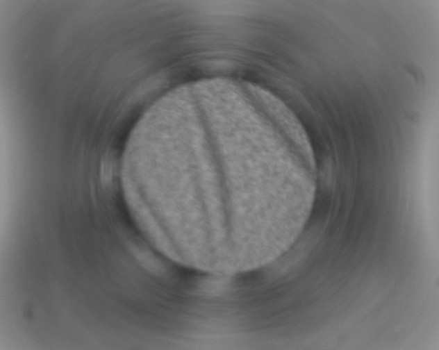 X0000113630138200910162024