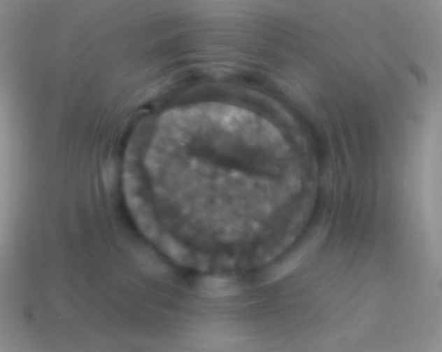 X0000113630139200910162024