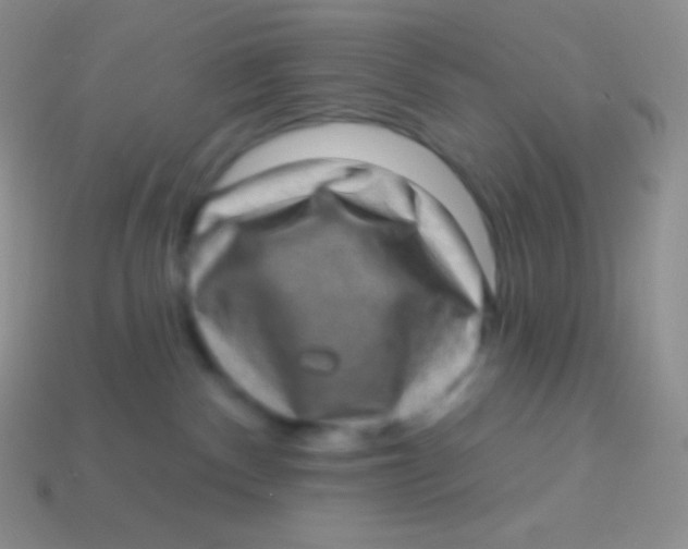 X0000113630140200910162024