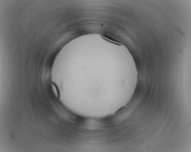 X0000113630141200910162024