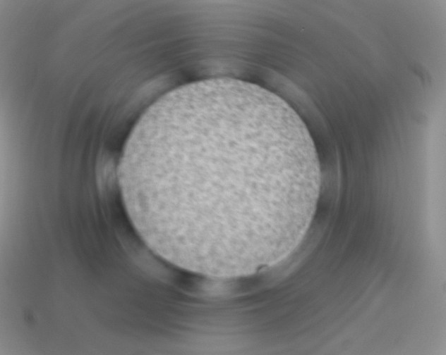 X0000113630142200910162023