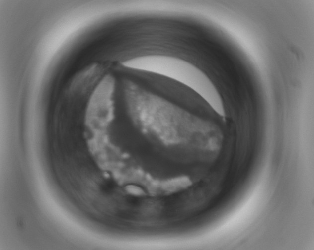 X0000113630143200910162023