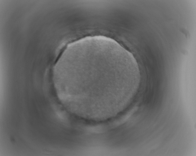 X0000113630144200910162023