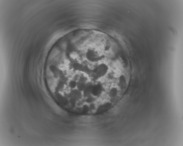 X0000113630145200910162023