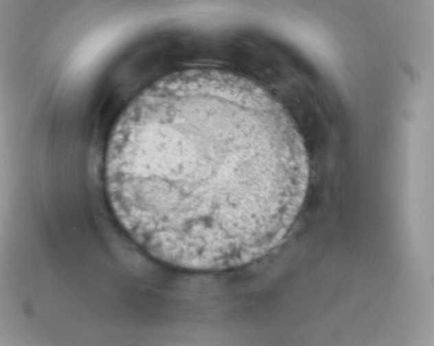 X0000113630146200910162023