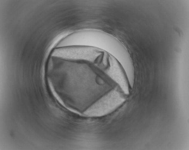 X0000113630148200910162023