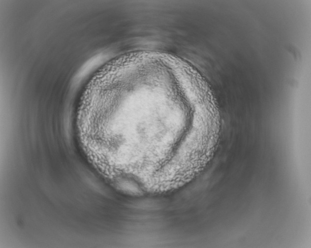 X0000113630149200910162023