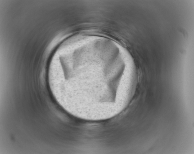 X0000113630150200910162023