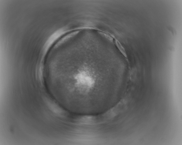 X0000113630152200910162023