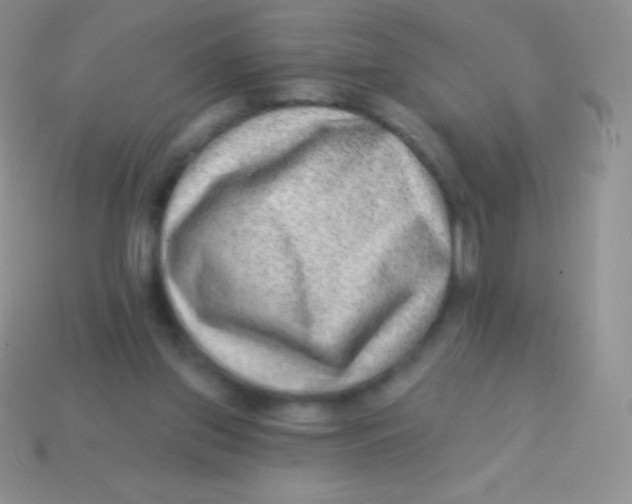 X0000113630157200910162023