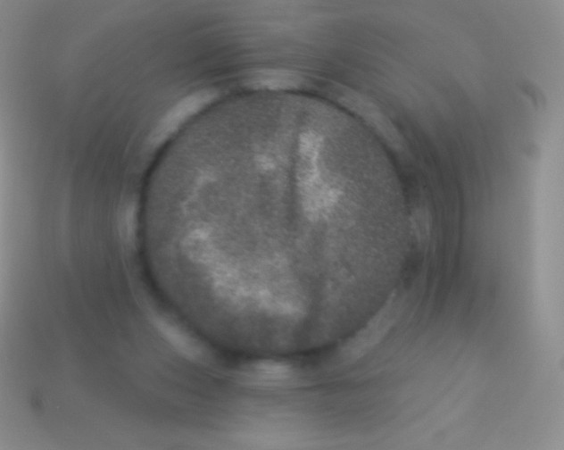 X0000113630159200910162023