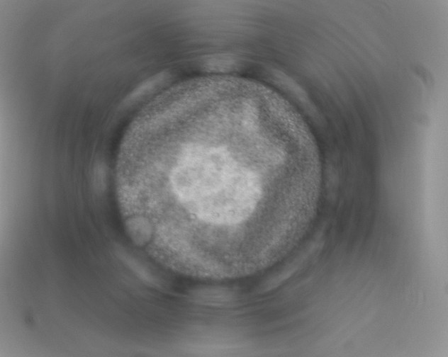 X0000113630161200910162023