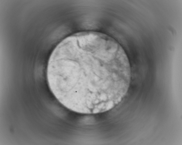 X0000113630162200910162023