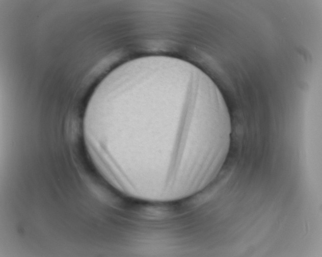 X0000113630164200910162023