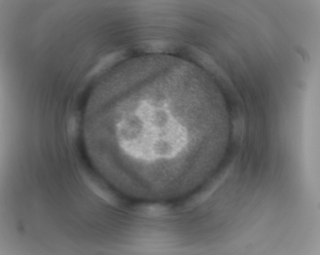 X0000113630165200910162023