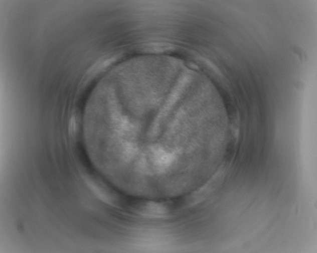 X0000113630166200910162023