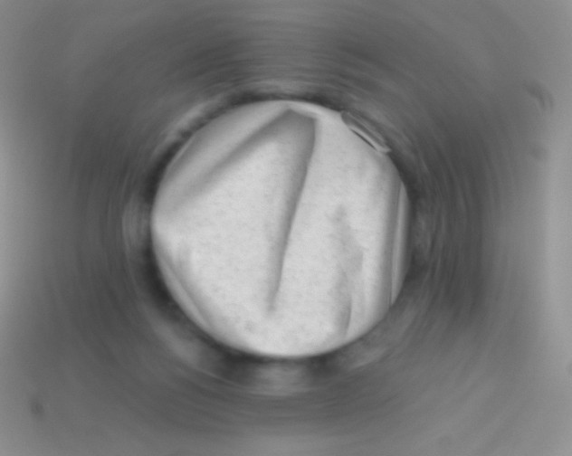 X0000113630168200910162023