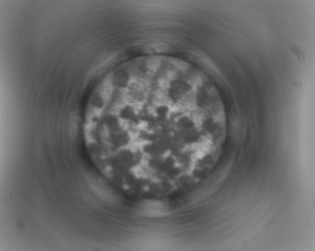 X0000113630169200910162023