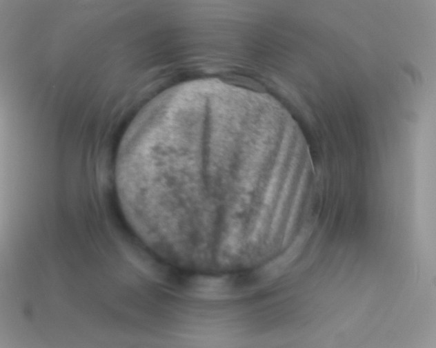 X0000113630170200910162023