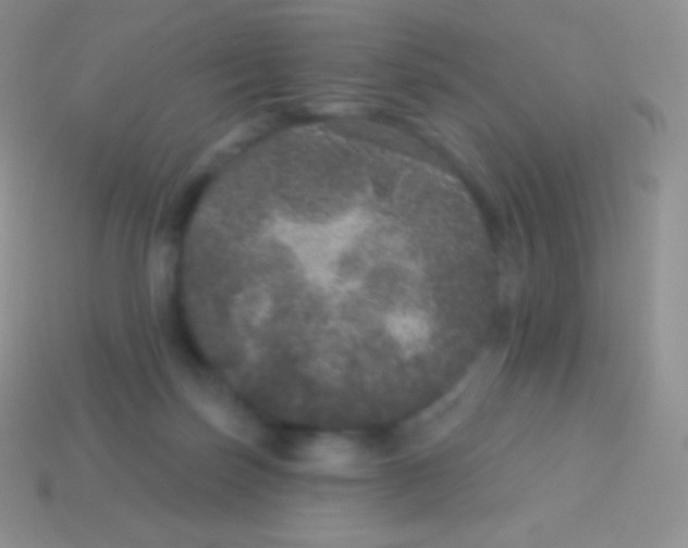 X0000113630171200910162023