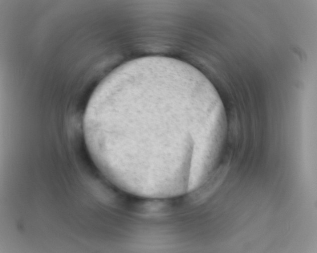 X0000113630172200910162023