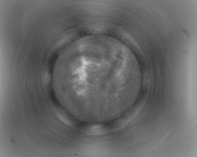 X0000113630173200910162023