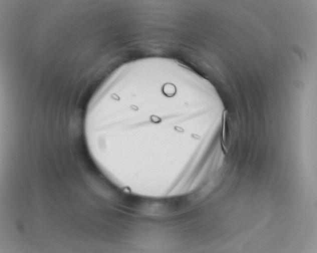 X0000113630174200910162023