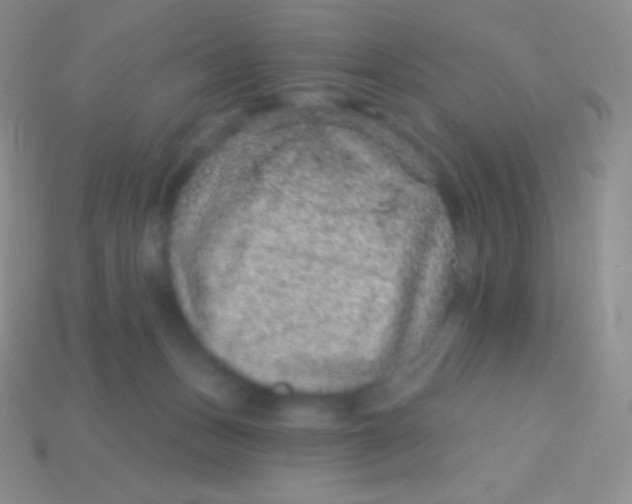 X0000113630175200910162023